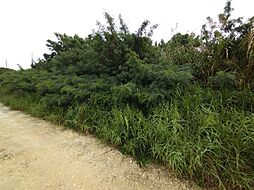 島尻郡八重瀬町富盛