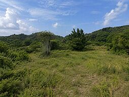 伊差川売地
