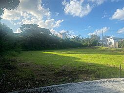 本部町山川