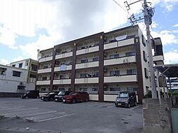 グレイスアガリ 404