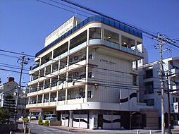 リトルグリーン 206