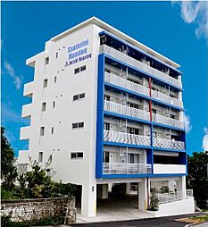 サントリーニマンション 301