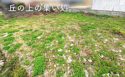 沖縄市園田0丁目の土地