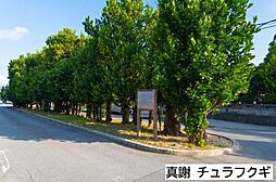 島尻郡久米島町真謝の土地