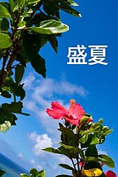 島尻郡八重瀬町安里