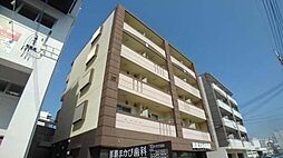 エレガンテまかび 502