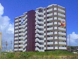 Ｍａ．サンセヴェリア（Ａタイプ） 501