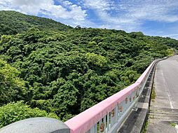 本部町並里17324坪　売地