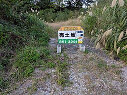 今帰仁村謝名土地