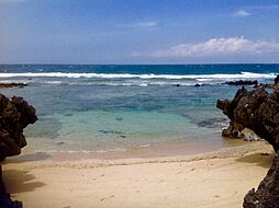 国頭郡今帰仁村古宇利の土地