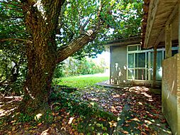 国頭郡伊江村川平の一戸建て