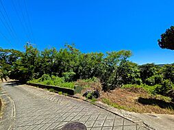 南城市知念知念