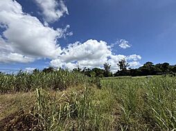 事業用地宜野座村惣慶土地