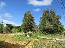 金武町売地160万