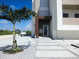 Ｔｅｃｏｒａ（テコラ） 204