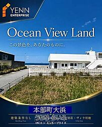 本部町大浜土地