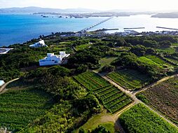 国頭郡今帰仁村古宇利