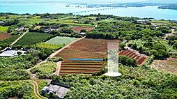 古宇利1463　114／34．49坪