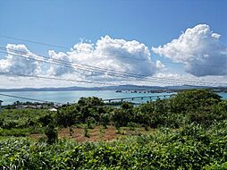 国頭郡今帰仁村古宇利の土地