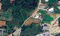 国頭郡今帰仁村古宇利