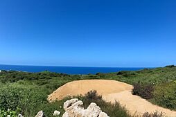 国頭郡今帰仁村古宇利の土地