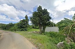 本部町字新里売土地