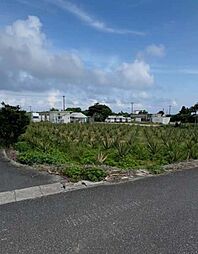 宮古島上野宮国売地