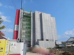 コンフォート　フィールド 503