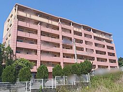 プロフィット為又 101