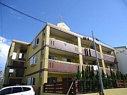ＳＡＫＵＲＡ　ＴＥＲＲＡＣＥ 103