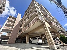 ハイビーミヤラ 203