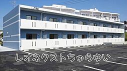 レオネクストちゅらゆい 101