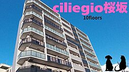 ｃｉｌｉｅｇｉｏ桜坂（チリエージョサクラザカ） 309