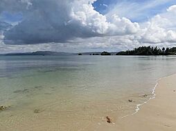 名護市きれい、泳げる海100ｍ済井出売地