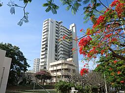 プレサンスロジェ国際通りレーヴタワー 804