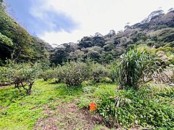 売地名護市三原