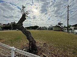 売地うるま市石川山城−1区画