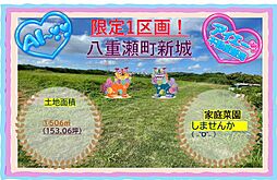 売地八重瀬町新城　153坪