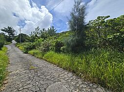 国頭郡今帰仁村兼次の土地