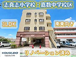 ライオンズマンション志真志 803