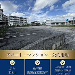 南城市大里字仲間土地 1035-1