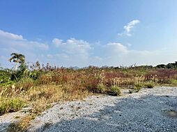 本部町豊原（限定1区画　770坪）