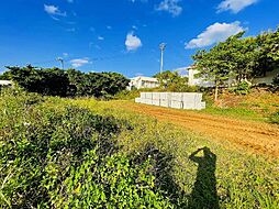 国頭郡本部町野原の土地