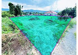 国頭郡今帰仁村仲尾次の土地