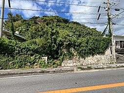 南城市知念字具志堅土地(226)