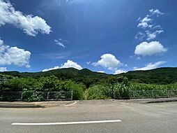 石垣島　平久保山側農振地