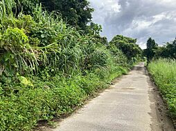 今帰仁村諸志（農地）