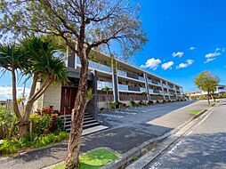 ミルコマンション宇茂佐の森テラス 208