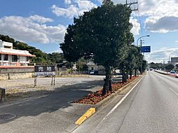 本部町浦崎土地