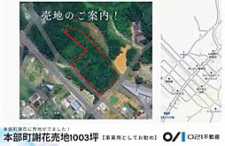 本部町謝花売地1003坪